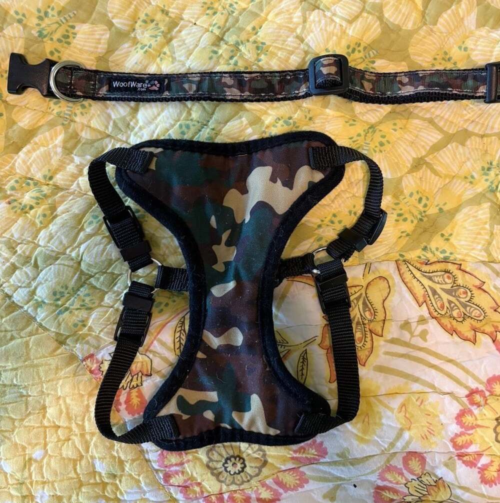 PS Camouflage Mesh Step-In Dog Harness and woofware Collar Set Size XS